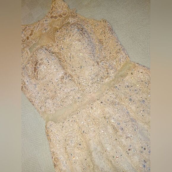 Aspeed Design Lace and Jewel / Rhinestone Champagne Formal Dress - Picture 5 of 16